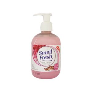 JABON LIQUIDO CHICLE GLOBO 6X300 SMELL FRESH