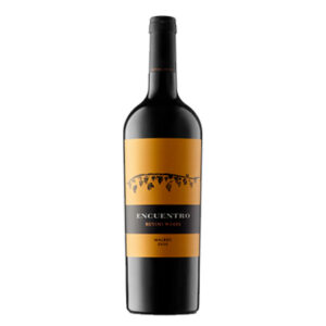 VINO ENCUENTRO MALBEC 6X750 RUTINI
